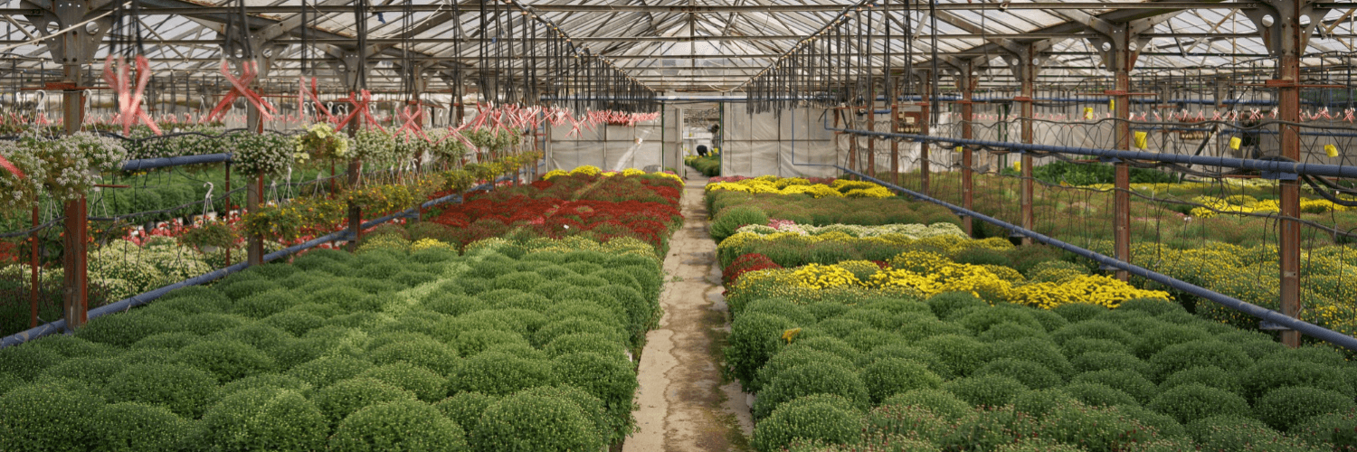 Horticulture Application