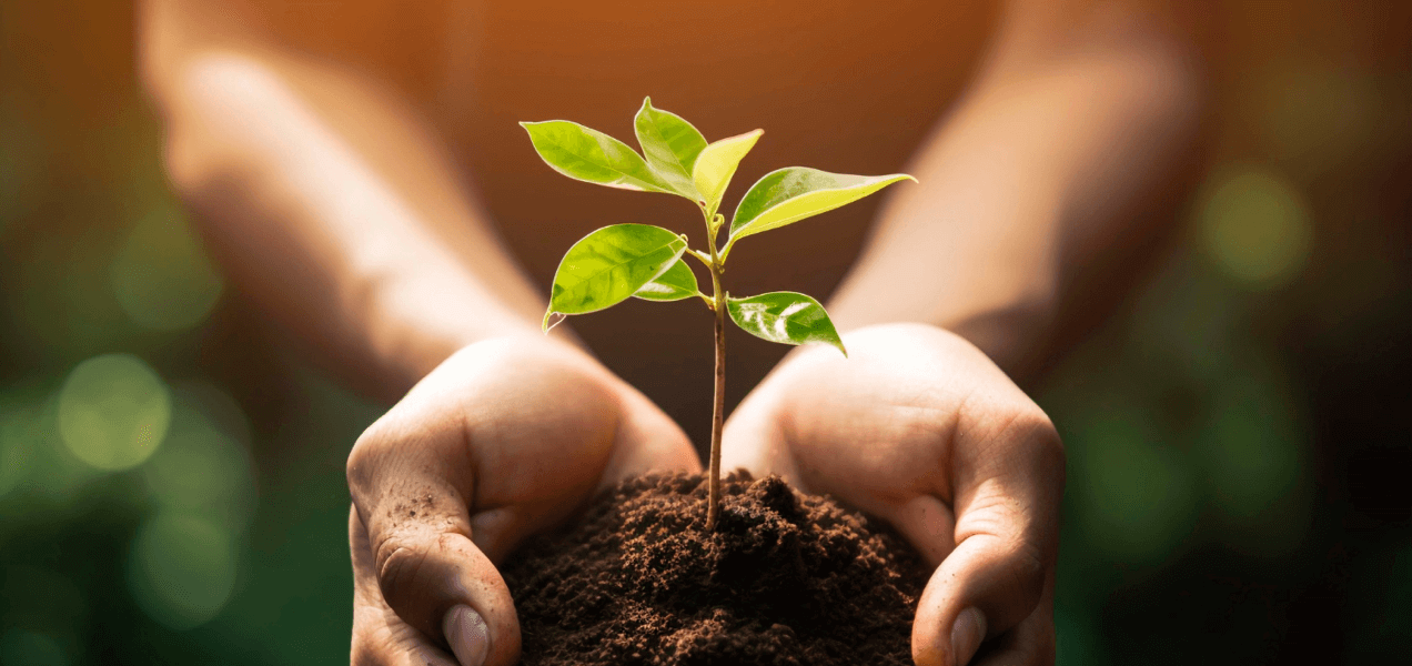 Sustainability at BharatChar